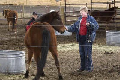 
COLT director Sarah Lesher, left, instructs Brian Bell, 12, Spokane, how to approach a wild mustang recently at her Valley ranch. 
 (Brian Plonka / The Spokesman-Review)