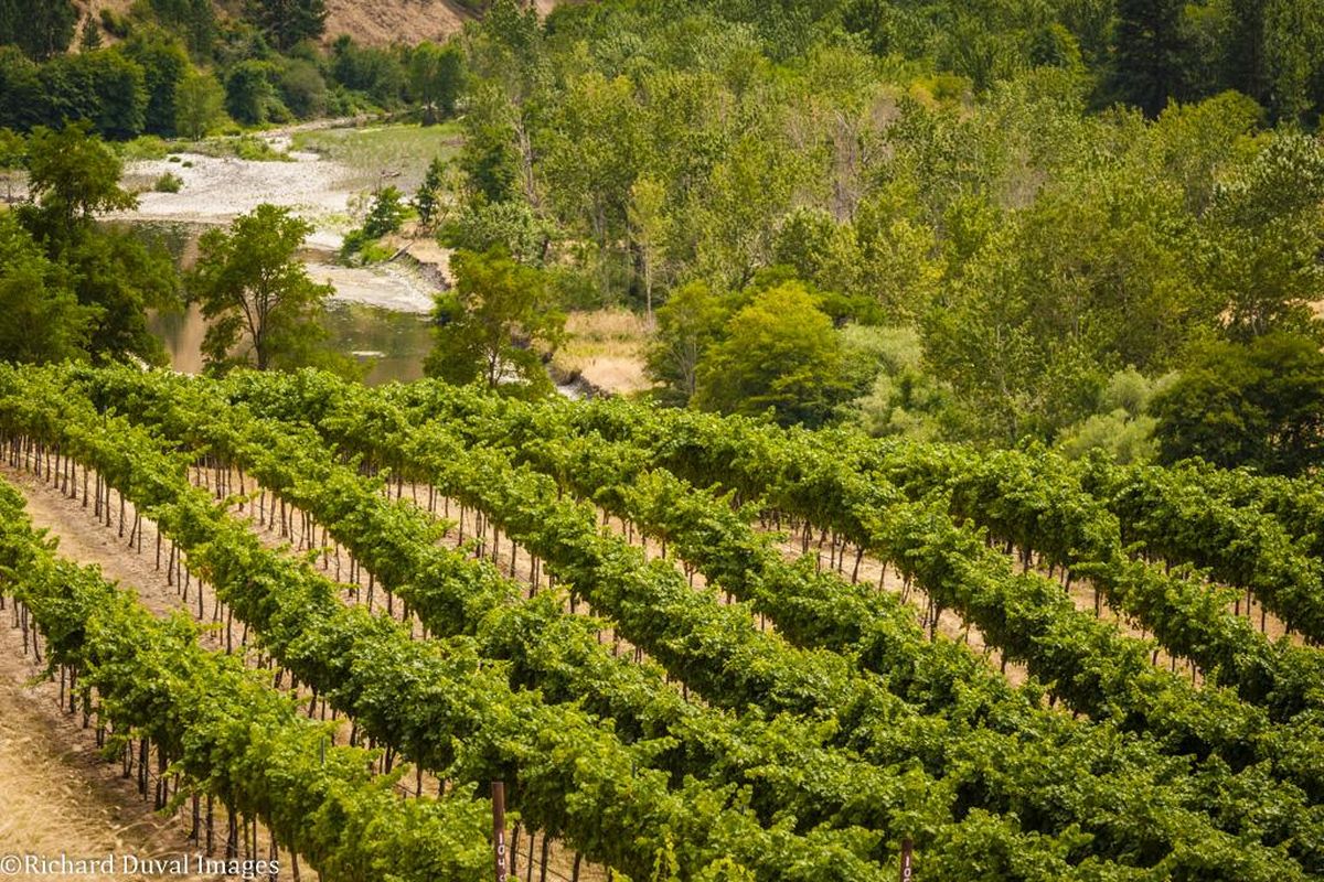 Several blocks at Colter’s Creek Vineyard overlook the Potlatch River near Juliaetta, Idaho, with the Clearwater River just downstream. (Richard Duval Images)