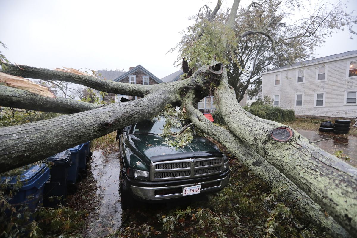 A large tree fell onto a pickup truck Wednesday in Fairhaven, Mass.  (Peter Pereira)