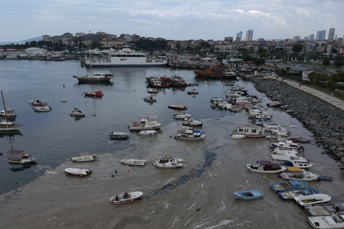 An aerial photo of Pendik port in Asian side of Istanbul, Friday, June 4, 2021, with a huge mass of marine mucilage, a thick, slimy substance made up of compounds released by marine organisms, in Turkey