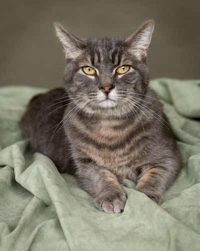 <!-- Feature creature  --> (Karen Fosberg)