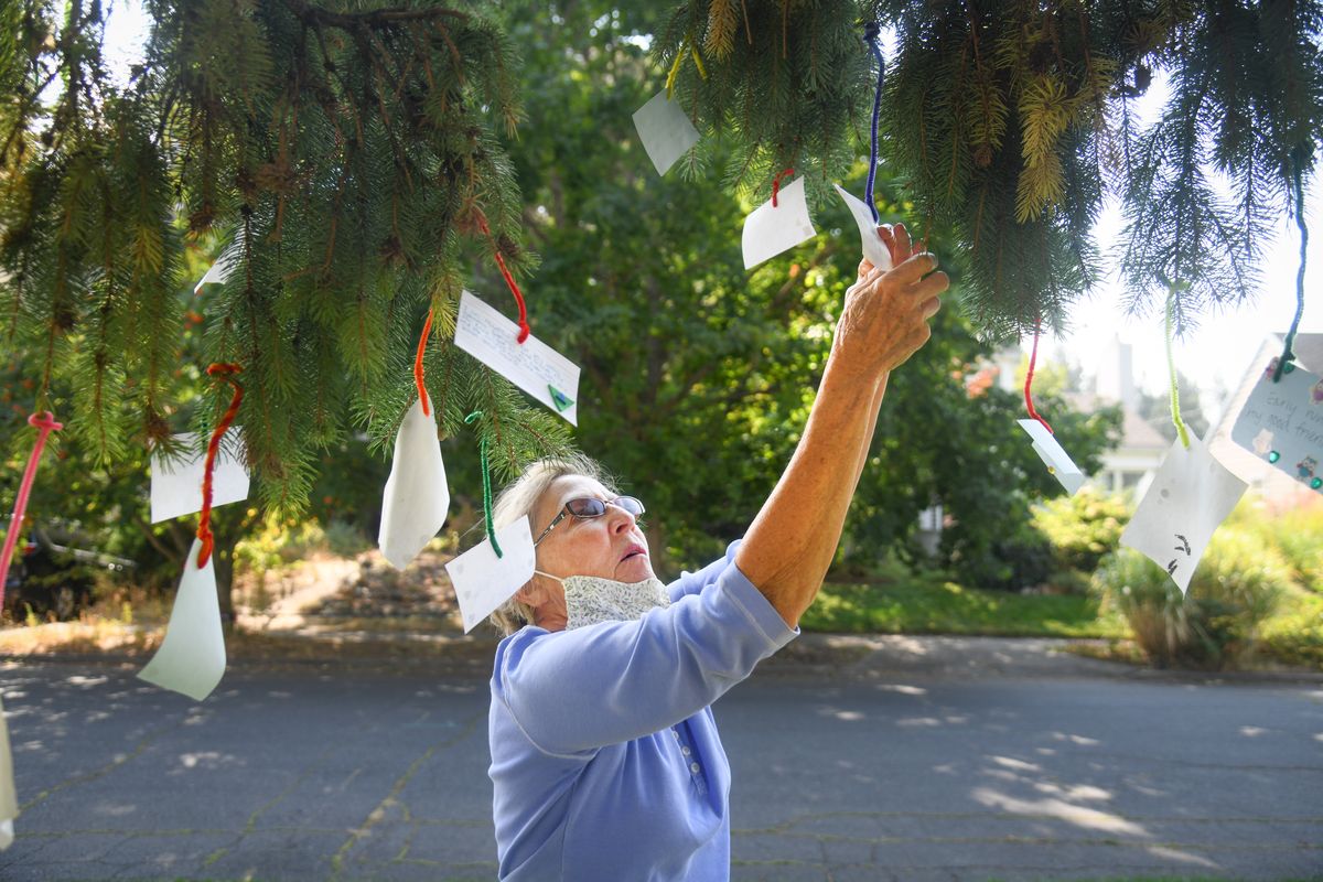 Carol Williams grasps for notes that are hanging on her Tree of Gratitude  (DAN PELLE)