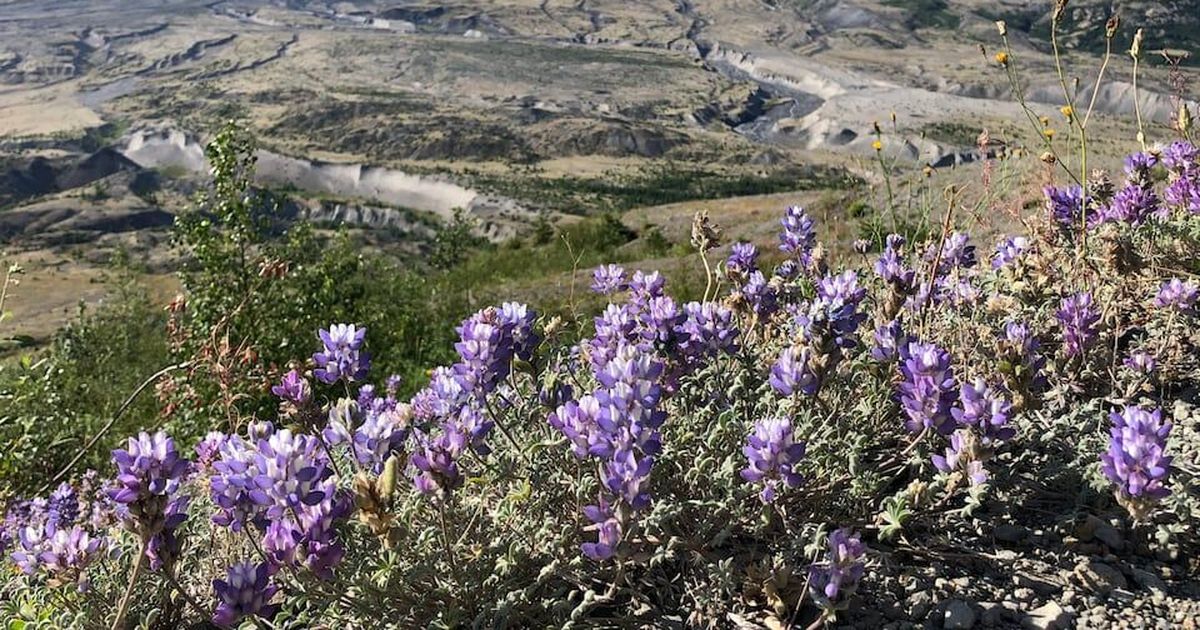 Mount St. Helens Visitor Center and Trailhead to Remain Closed Until 2027