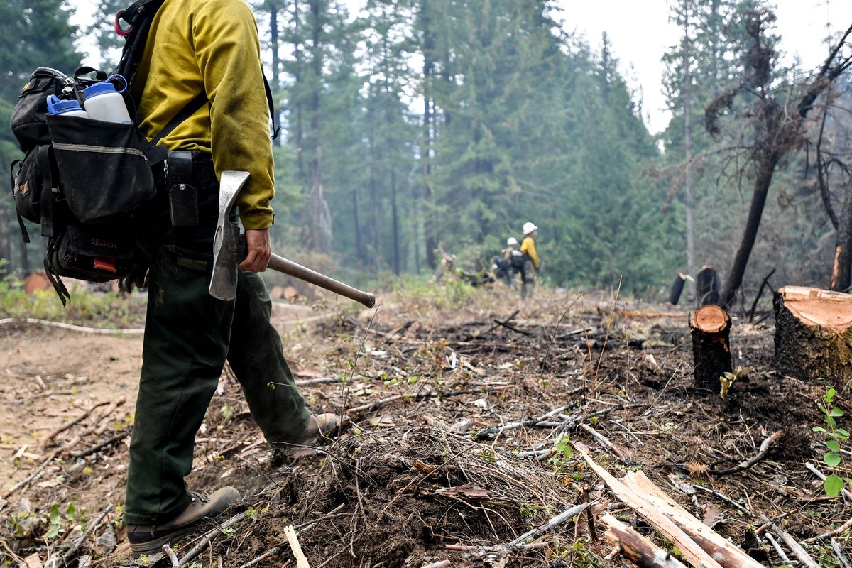 A firefighter monitors a fire line on the Cedar Creek fire on Tuesday outside Winthrop, Wash.  (Tyler Tjomsland/The Spokesman-Review)