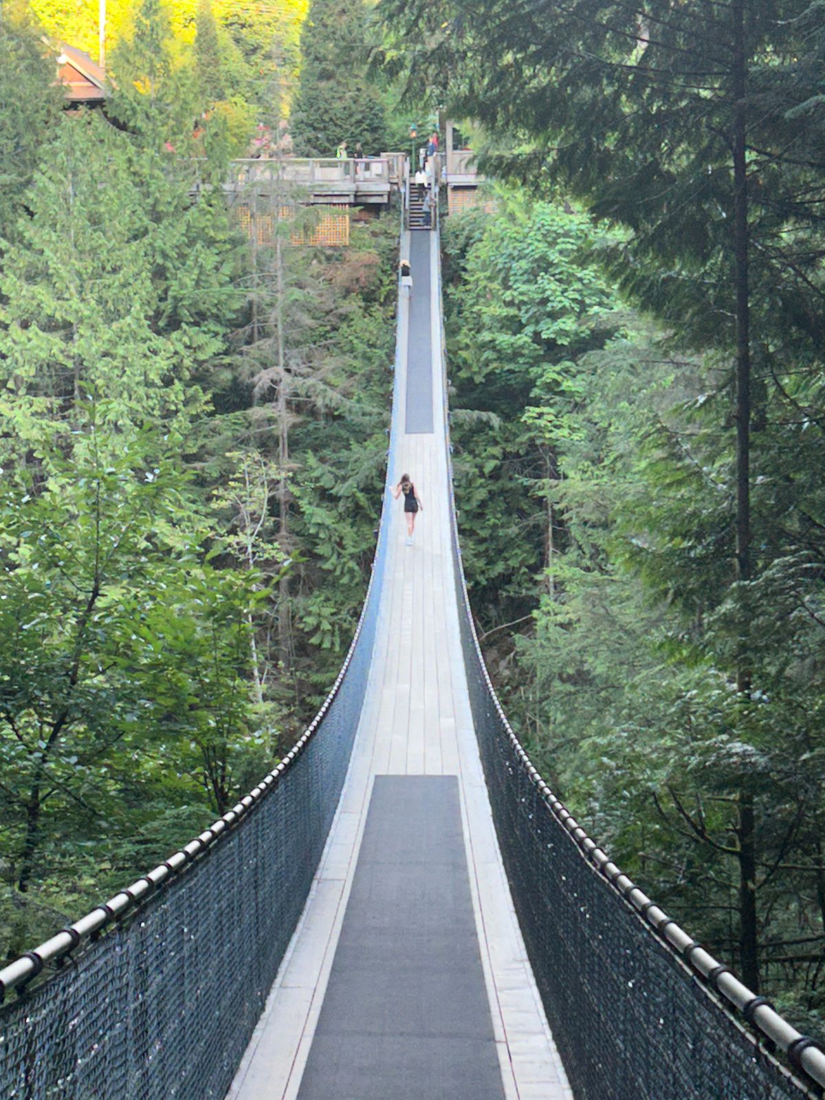 The Capilano Suspension Bridge Park is part of a walk through a rainforest canopy with a trek above a canyon near Vancouver.  (Photo courtesy of Ed Condran)