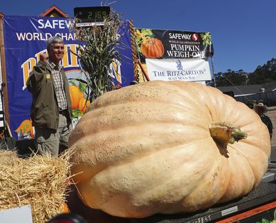 Steve Daletas of Pleasant Hill, Ore., celebrates his win in the 45th annual Safeway World Championship Pumpkin Weigh-Off on Monday, Oct. 8, 2018, in Half Moon Bay, Calif. (Aric Crabb / Associated Press)