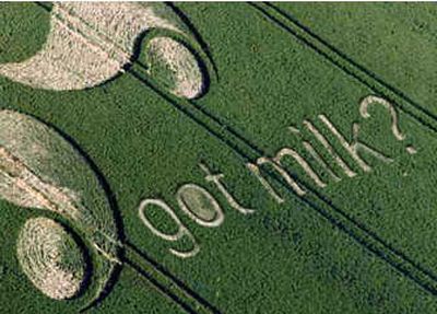 
A Got Milk? promotion is carved into a California farm.Courtesy of California Milk Processor Board
 (Courtesy of California Milk Processor Board / The Spokesman-Review)