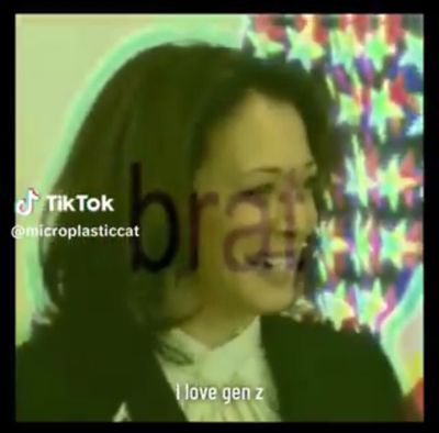 Screenshot of a Charli xcx “Brat” album edit over a video of VP Kamala Harris saying, “I love Gen Z.”  (@microplasticcat on TikTok)