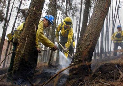 
Weep-tes Wilder and Duane Miller douse hot spots within the perimeter of the 1,000-acre Mill Canyon fire outside of Davenport on Tuesday.   
 (Christopher Anderson/ / The Spokesman-Review)