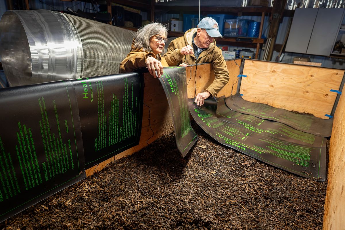 Patti and George Anderson, owners of Spokane Worms, place heating pads on top of a container of feeding earthworms at their new business selling soil amendments, chicken treats and live worms.  (COLIN MULVANY)