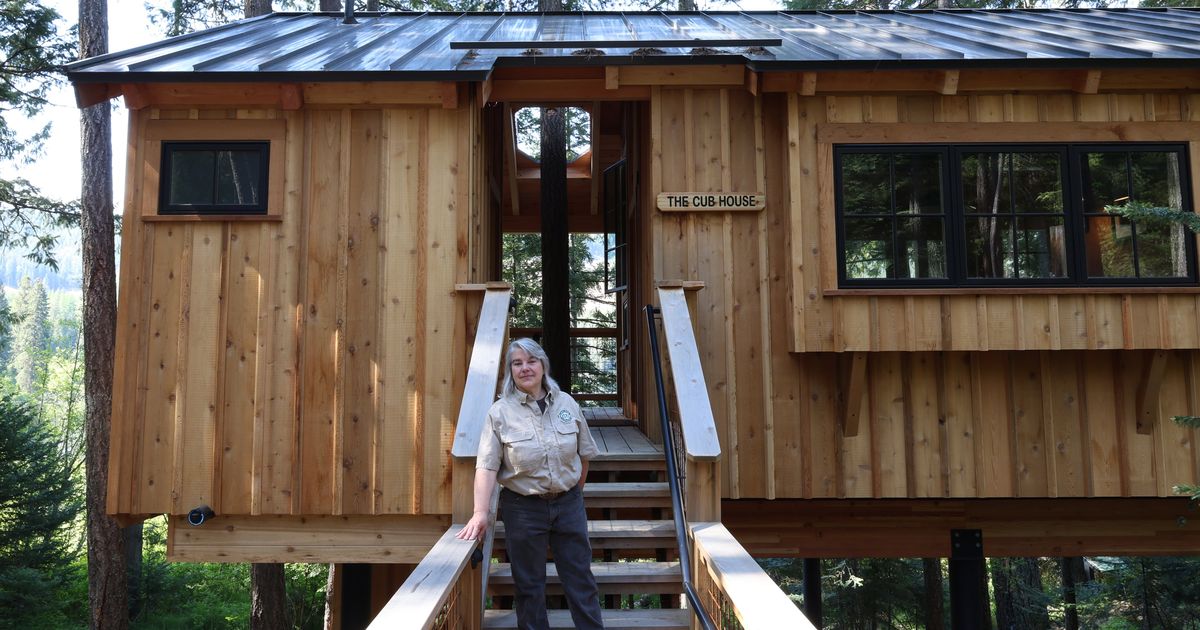 North Idaho state park masters canopy camping with luxury treehouses