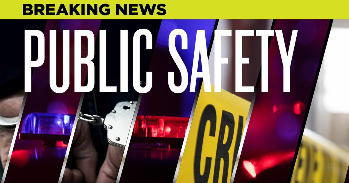 Loose German shepherd shot outside of Westview Elementary