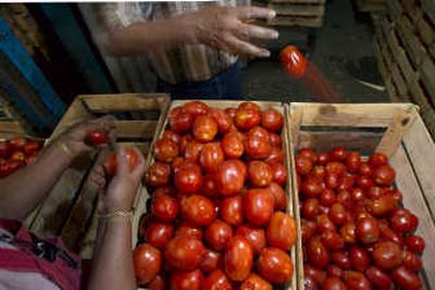 
Workers separate tomatoes in Mexico City on Tuesday.  Mexican growers have temporarily stopped shipments to the U.S. Associated Press
 (Associated Press / The Spokesman-Review)