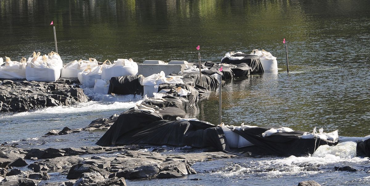 Weirs have been placed in the Spokane River near the upper falls to divert water in the north channel. (Dan Pelle / The Spokesman-Review)