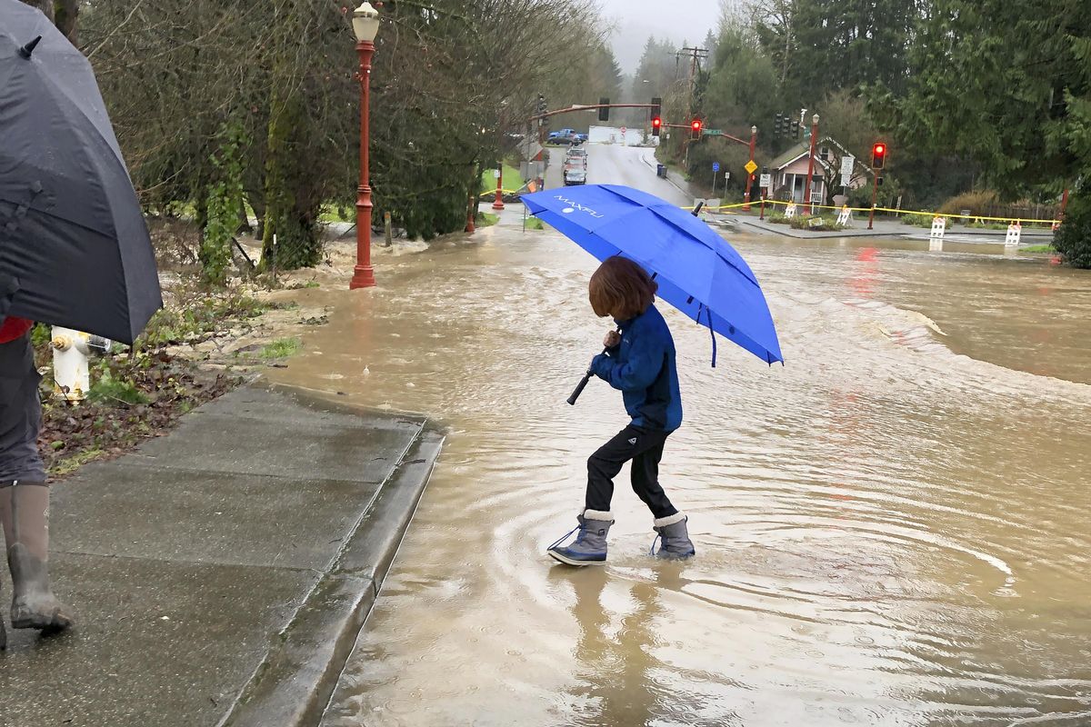 A young boy plays in a street flooded by overflowing Issaquah Creek in Issaquah, Wash., as heavy rains pound the area Thursday, Feb. 6, 2020. Rain storms are triggering flood warnings on rivers across western Washington state. Major flooding is expected or already occurring on four rivers - the Snoqualmie near Carnation, the Tolt above Carnation, the Carbon near Fairfax and the Cowlitz at Randle. (Martha Bellisle / Associated Press)