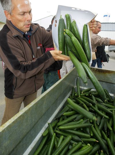 A farmworker in Carquefou, western France, empties cucumbers into a container after failing to sell them due an ongoing food crisis in Europe. (Associated Press)