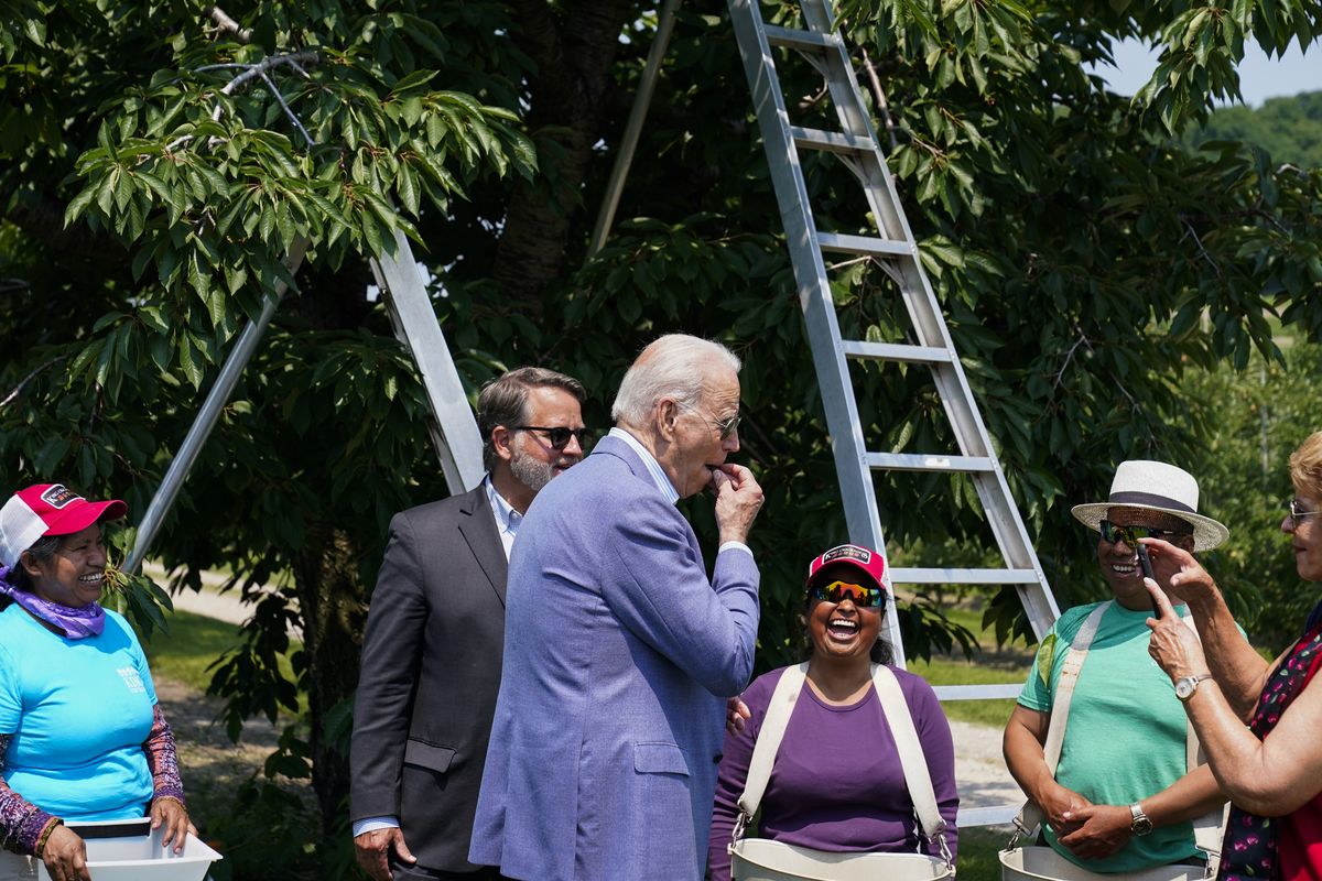President Joe Biden eats a freshly picked cherry from a bucket while meeting with workers as he tours King Orchards fruit farm with Sen. Gary Peters, D-Mich., and Sen. Debbie Stabenow, D-Mich., right, Saturday, July 3, 2021, in Central Lake, Mich.  (Alex Brandon)