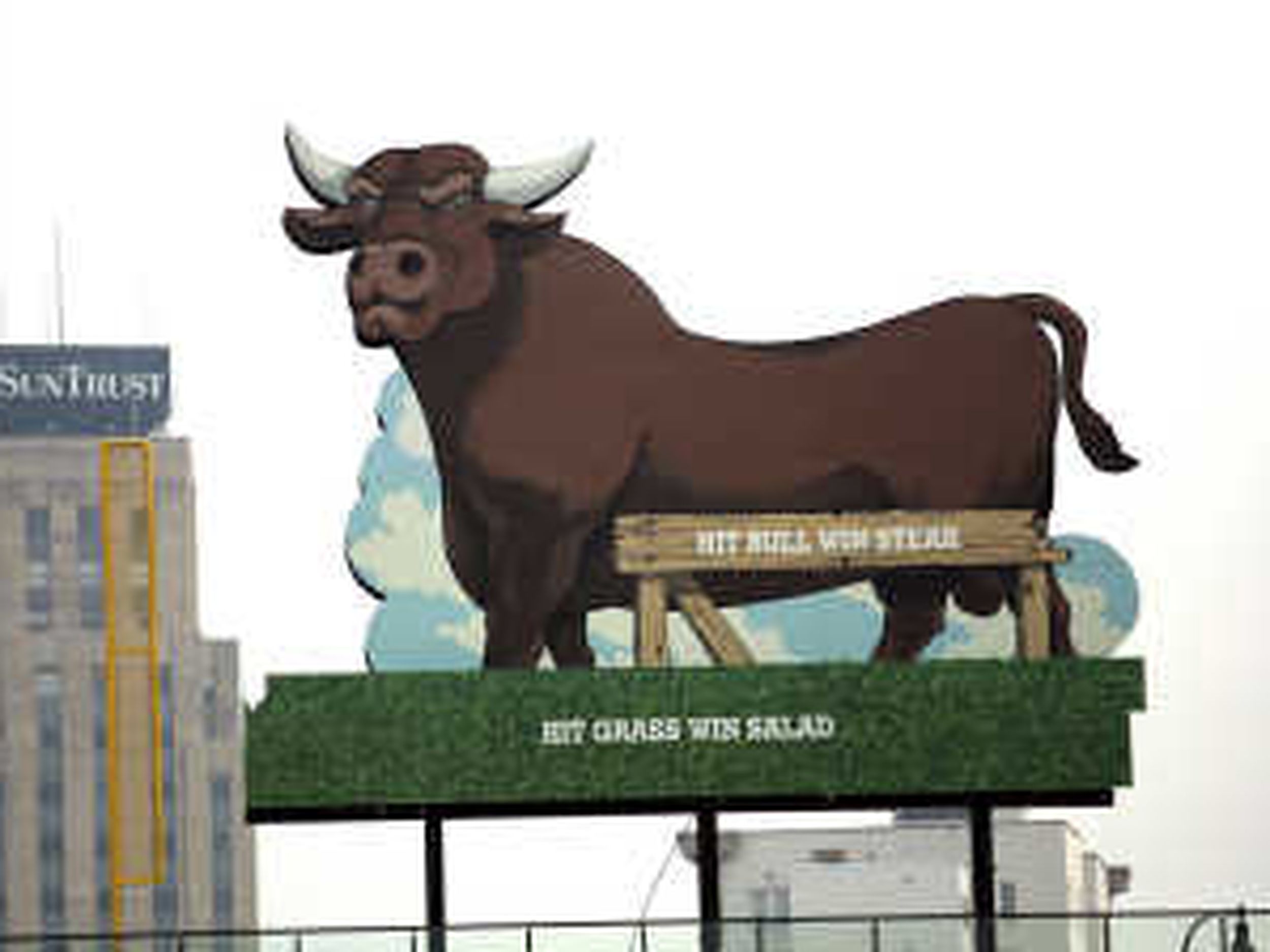 No Bull' Details Durham Bulls Rise To Baseball Stardom