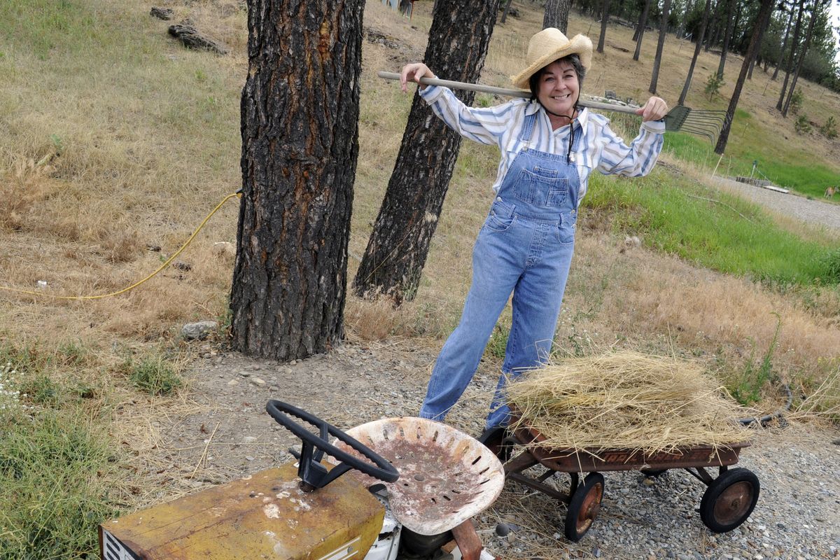 Lezlie Finet heads a group of Spokane Valley artists organizing the Art on the Farm Festival on Aug. 28 and 29. The event will be held at her farm at Evergreen Road and 32nd Avenue in  Spokane Valley, and will feature more than 25 artists’ booths, food and live music.  (J. BART RAYNIAK)