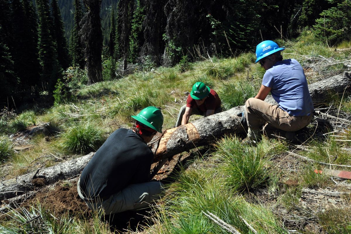 Jane Baker, right, coaches Washington Trails Association volunteers Jeff Hugus, left, and Randy Greyerbiehl as they saw a log off the Shedroof Divide Trail. The volunteers spent last weekend clearing more than 80 blowdowns off a two-mile section in the Colville National Forest. (The Spokesman-Review)