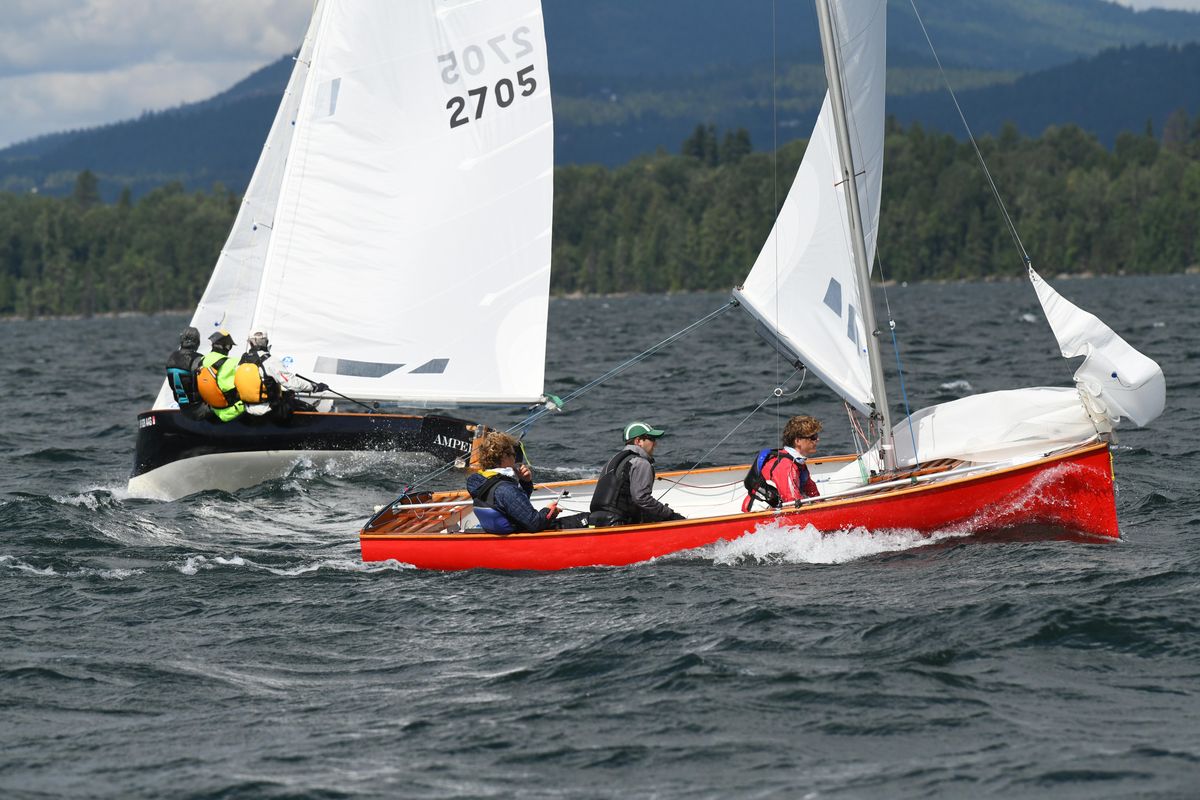 new thistle sailboat