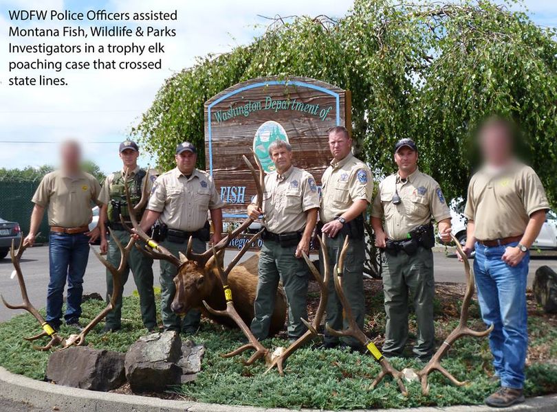 Washington wildlife cops help Montana bag poachers | The Spokesman-Review