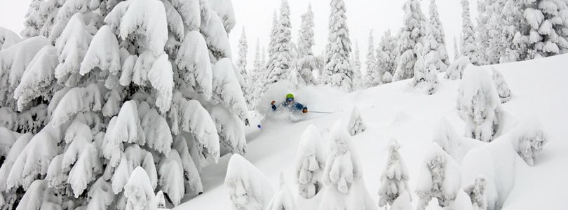 Schweitzer skiers were swimming in powder on Feb. 28, 2017. (Schweitzer Mountain Resort)