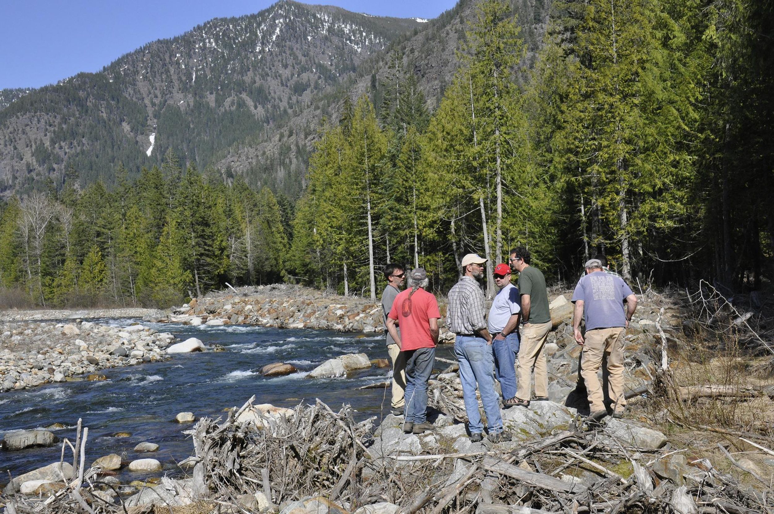 Free personal use firewood gathering continues, permit now required