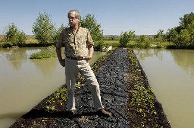 
Bruce Kania stands on one of his floating islands in a pond near his home in Shepherd, Mont., The islands, acting as a sort of floating filter, are designed to improve water quality with plants that suck up excess nutrients. 
 (Associated Press / The Spokesman-Review)