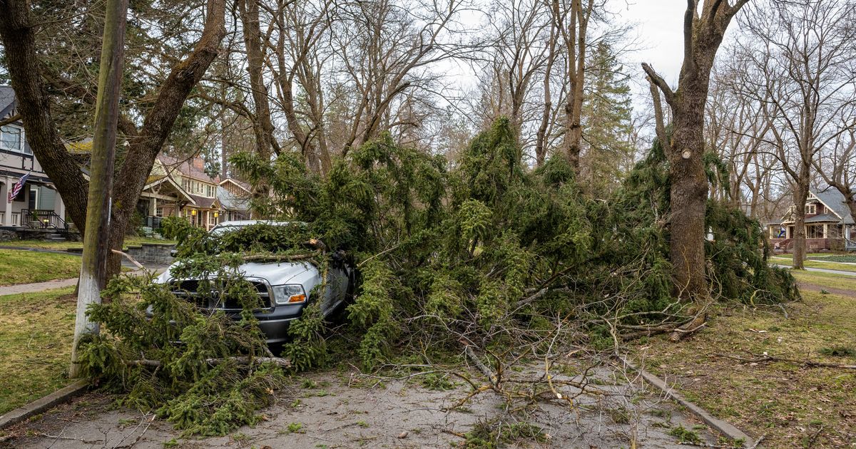 Power lines, trees down; thousands without power after overnight windstorm