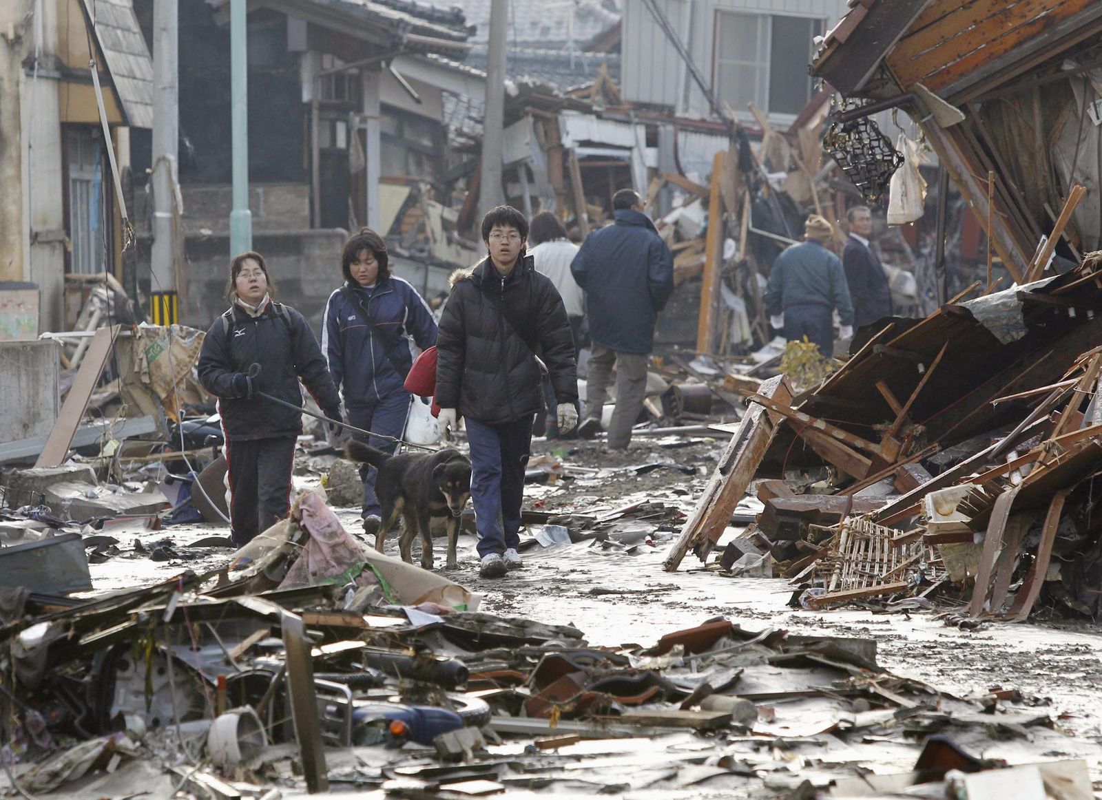 The earthquake in japan calls. Землетрясение в Японии тряска здания.