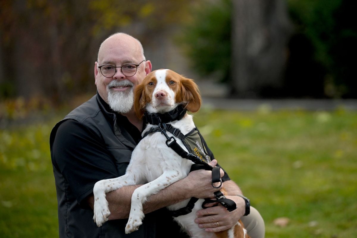 Kootenai County Sheriff’s therapy dog Rocket joined the department in August 2023 to work with handler and owner John McSwain, also a sheriff’s office chaplain.  (Kathy Plonka/The Spokesman-Review)