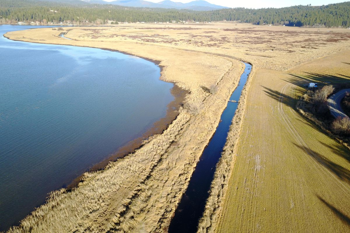 The undeveloped southeastern edge of Newman Lake is a dike to keep the lake out of the adjacent fields, shown Wednesday, Nov. 20. The earthen dike is on a list of dams that are considered failing. (Jesse Tinsley / The Spokesman-Review)