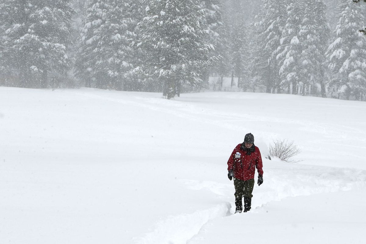 Frank Gehrke, chief of snow surveys for California’s Department of Water Resources, crossing a meadow still covered in snow on April 1, 2014, as he returns from conducting the snowpack survey at Echo Summit, Calif. The meadow was bare on Wednesday. (Associated Press)