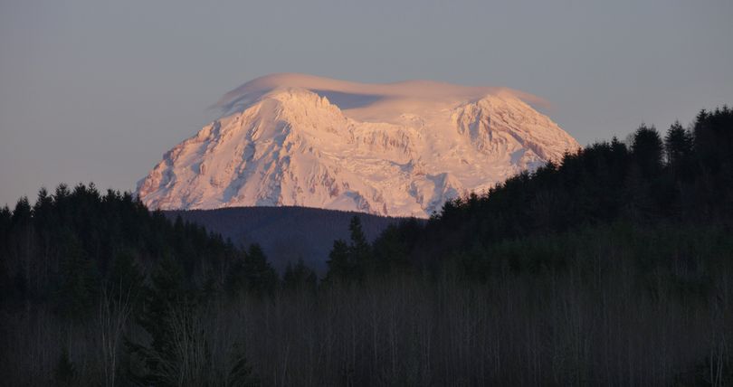 This January 2012 photo shows Mount Rainier taking on a rosy glow near sunset as viewed from Eatonville, Wash. (Associated Press)