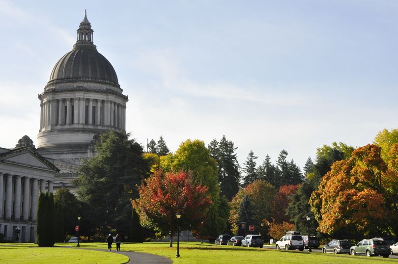 Fall colors on the Capitol Campus in Olympia, Nov. 3, 2011 (Jim Camden)