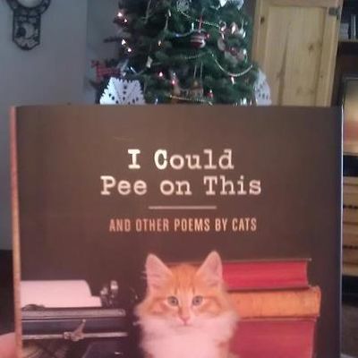 Favorite Gift