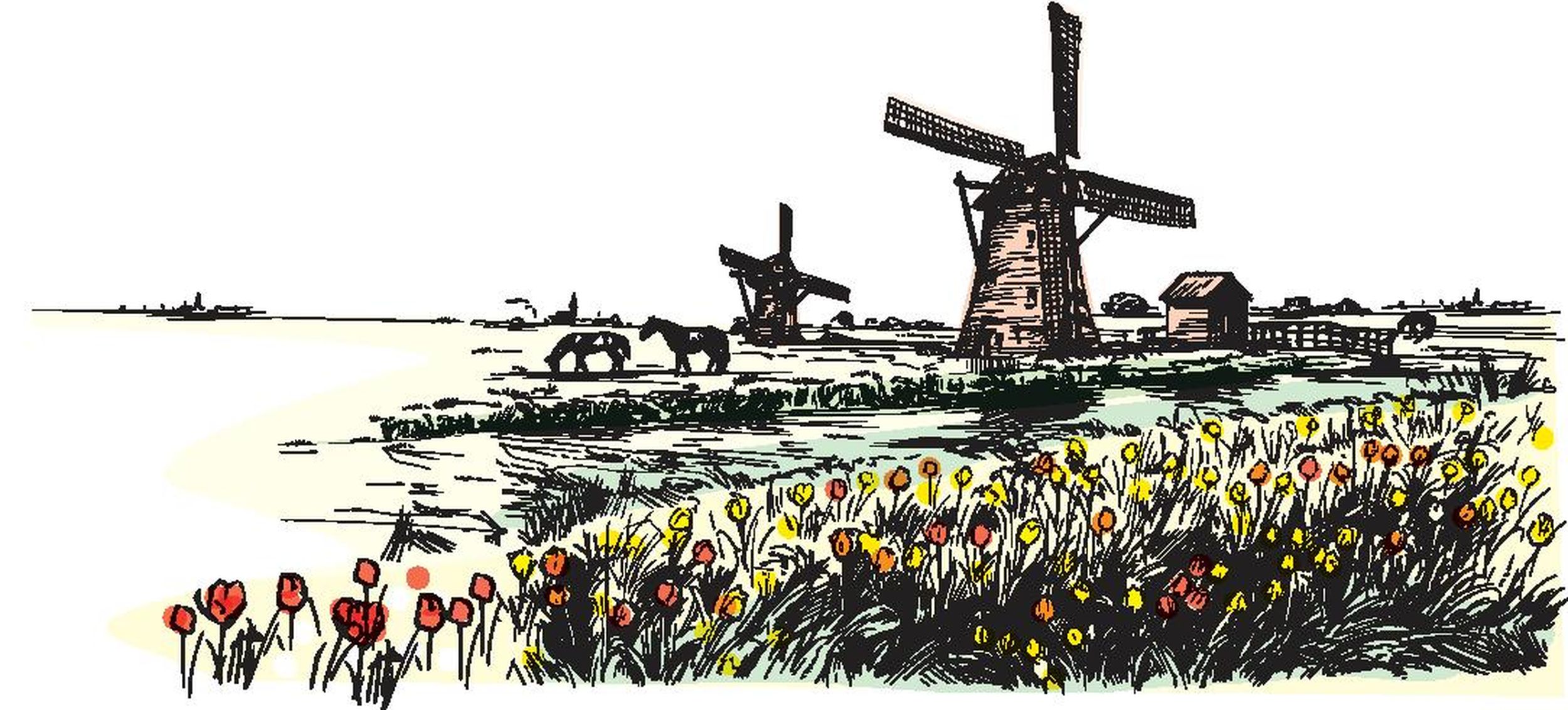 In the 17th century, tulip bulb mania created the world’s first