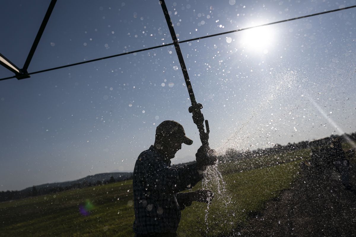 Matt Lisignoli shuts off an irrigation sprinkler at his farm, Smith Rock Ranch, in the Central Oregon Irrigation District on Tuesday, Aug. 31, 2021, in Terrebonne, Ore. The stark contrast between the water haves and have-nots two hours southeast of Portland has brought new urgency to efforts to share the resource. Proposals to create "water banks" or "water markets" would allow farmers with excess water to "lease" it to those in need.  (Nathan Howard)