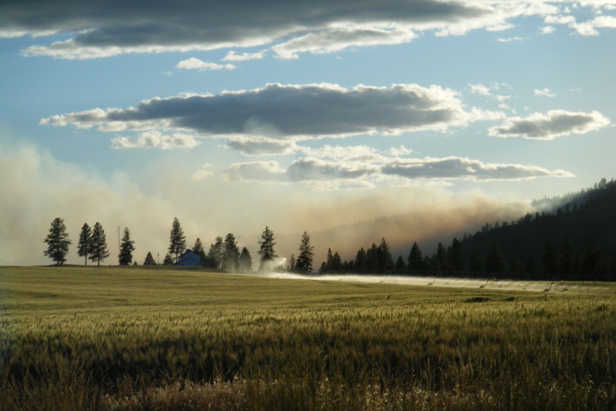 We can learn about how to strengthen global security from internationally recognized experts but local responses are just as informing. Eventually, though, we will have to bite the bullet in this globe of warmed earth temperatures of up to 5 to 9 degrees increases on average by 2100. The fire tongues its way into pine stands while smoke wafts near this irrigation delivery system. We draw down water tables and produce inefficient products from old 19th Century practices. It’s going to take local common sense to plan for global issues of security right outside our doors. (Marc Gauthier / Down to EarthNW Correspondent)