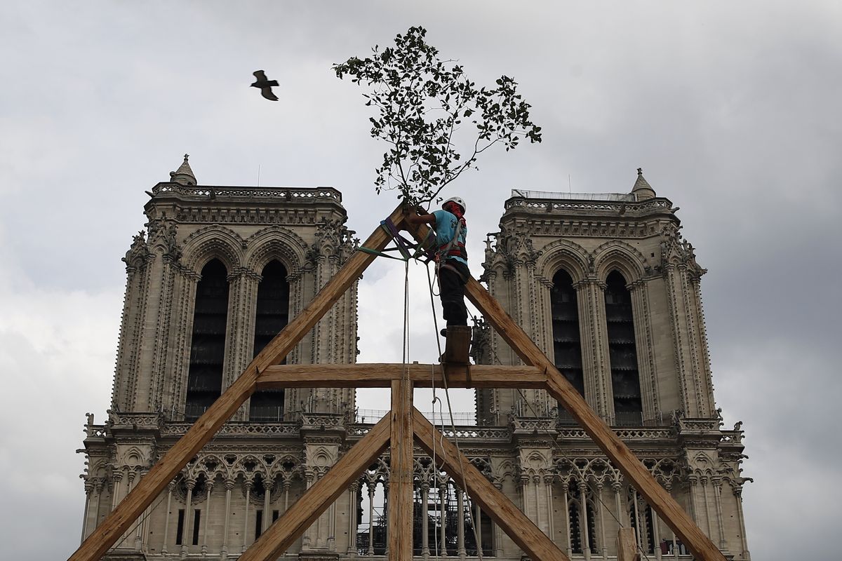 Charles, one of the carpenters puts the traditional final branch decoration during a show on the plaza in front of Notre Dame Cathedral in Paris, France, Saturday, Sept. 19, 2020, the day honoring European heritage, by reproducing for the public a section of the elaborate carpentry used when the edifice was built. The elaborate wooden beams went up in flames in a devastating April fire that also toppled the spire of the cathedral, now being renovated.  (Francois Mori)