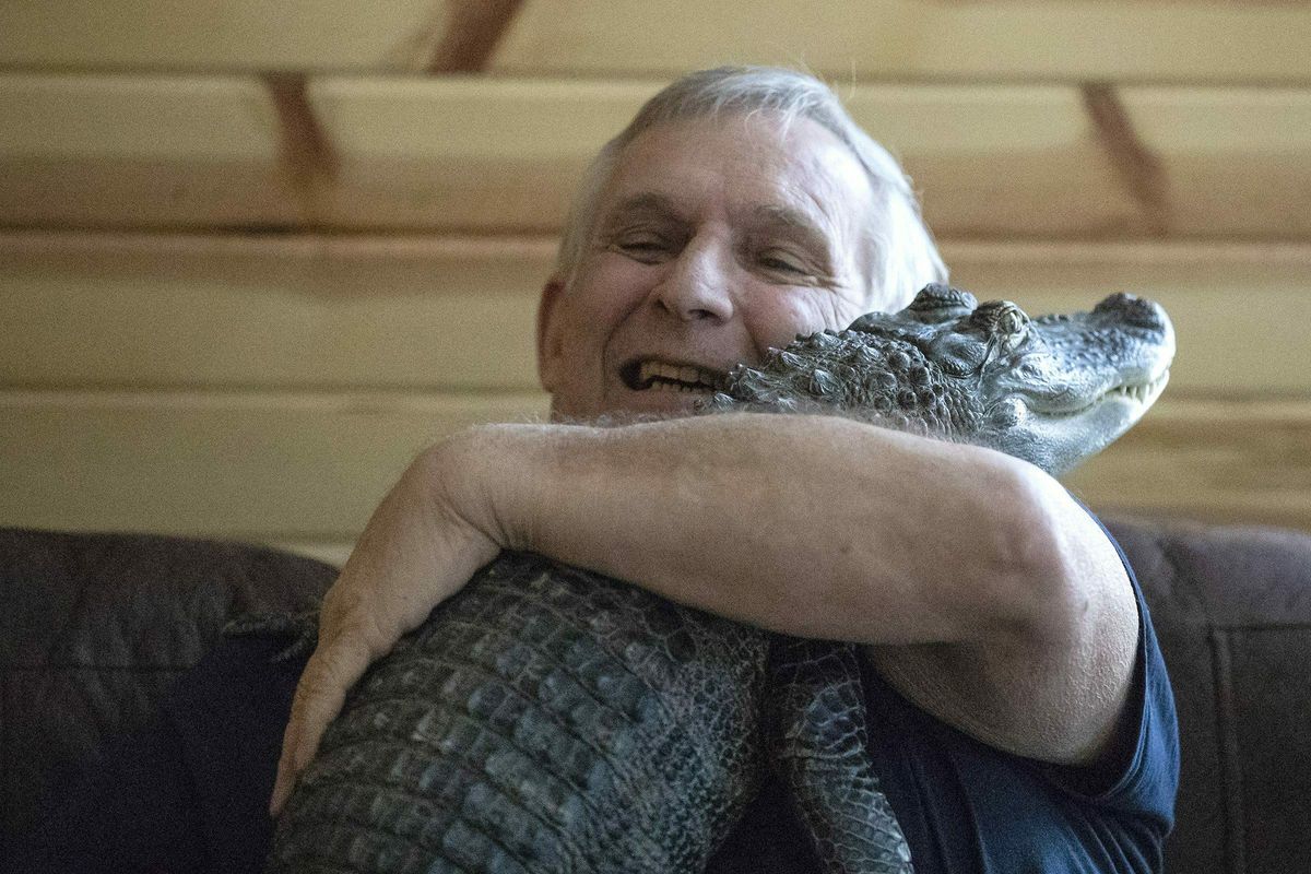 Joie Henney, 65, hugs his emotional support alligator named Wally inside their home in York Haven, Pa., on Tuesday, Jan. 22, 2019. Henney said he received approval from his doctor to use Wally as his emotional support animal after not wanting to go on medication for depression. (Heather Khalifa / AP)