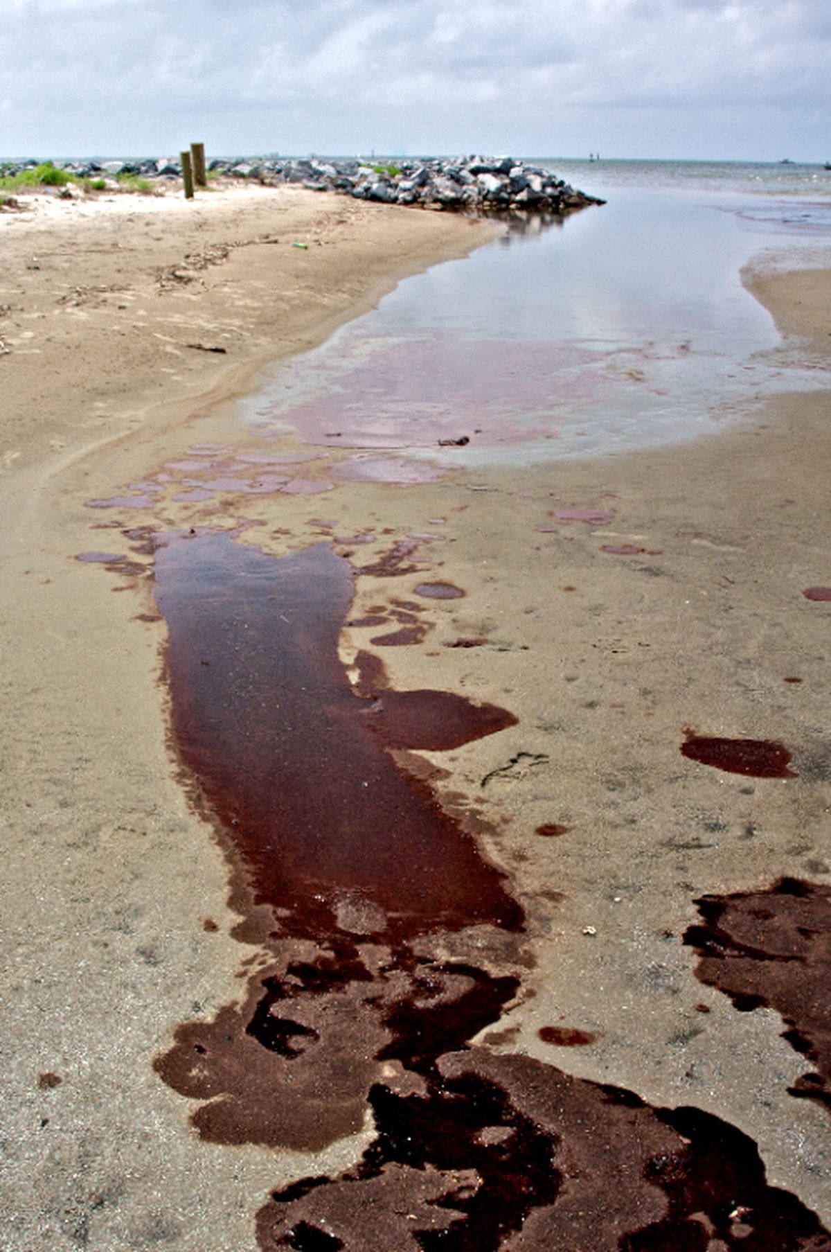 Pools of oil washed ashore at Barataria Pass, Grand Isle, Louisiana, USA on June 5, 2010. (  )