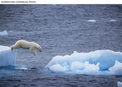 A polar bear diving into the Arctic Ocean is captured in the film “Earth,” which opens Wednesday on the new label Disneynature. The polar bear is one of 41 animal species featured in the film. Business Wire (Business Wire / The Spokesman-Review)