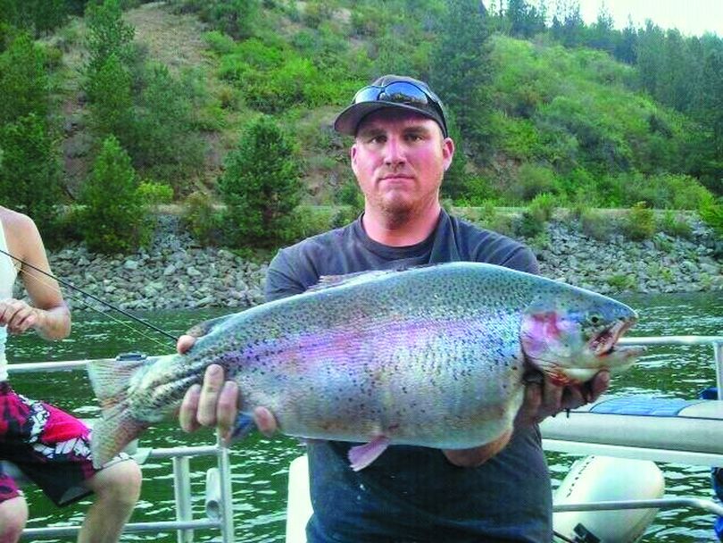 Aaron Marshall of Boise holds a massive rainbow trout he caught while fishing below Dworshak Dam in July. The trout have learned to fatten up on kokanee that are sucked through or over the dam into the North Fork of the Clearwater River.  (Courtesy photo)