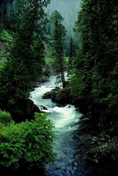 
The upper St. Joe River was classified as 