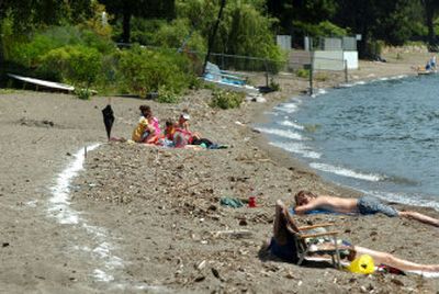 
At Sanders Beach on Friday, beachgoers  stay below a powdery line a homeowner created in attempt to mark the edge of his property. 
 (Jesse Tinsley / The Spokesman-Review)