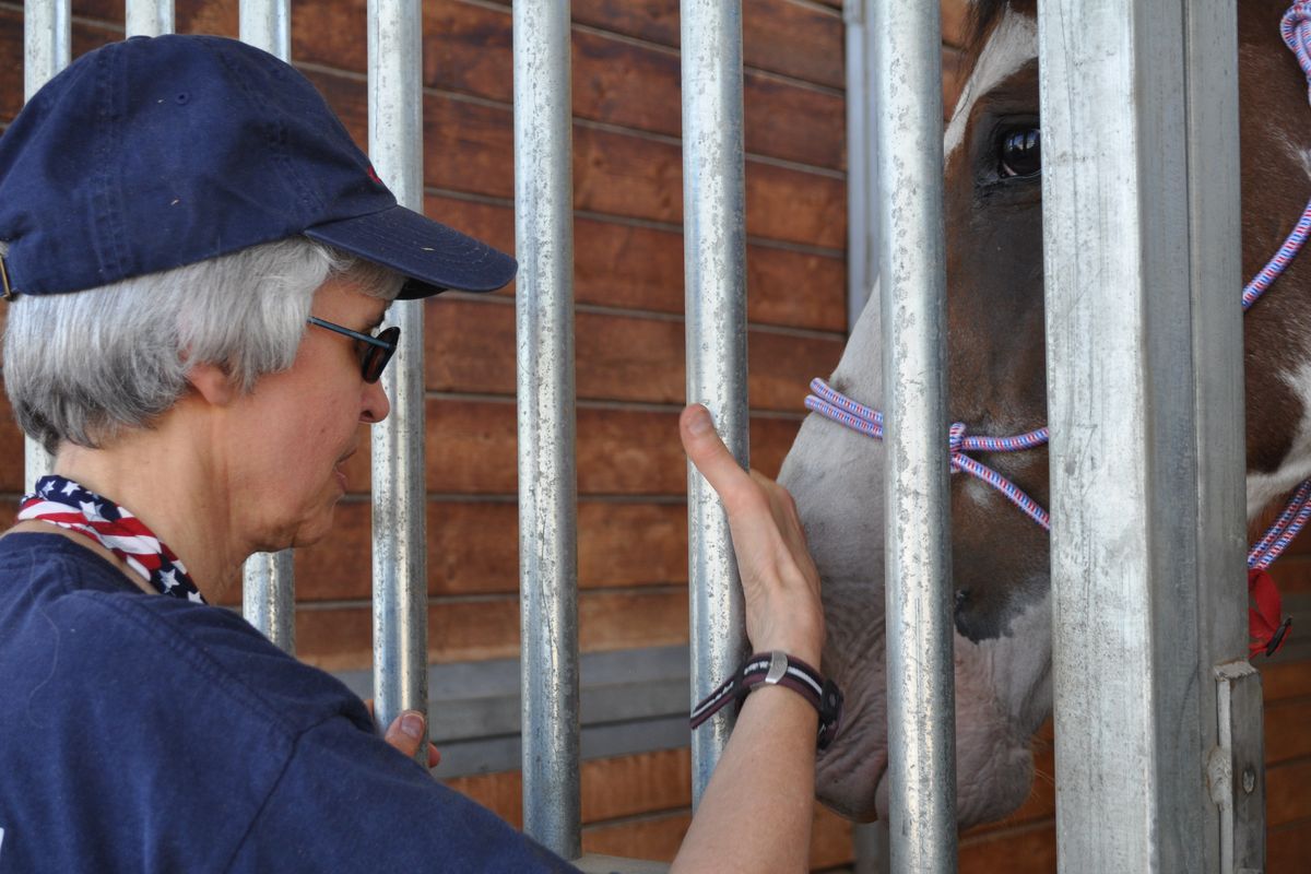 Donna Breiden Bach, a volunteer with the Humane Evacuation Animal Rescue Team, cares for a horse rescued from a West Plains ranch. About 25 emaciated horses were taken from the home. (Kaitlin Gillespie)