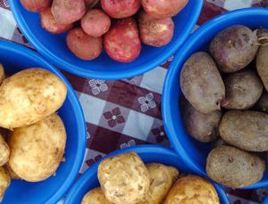 Bowls of potatoes are offered for sale at the Liberty Lake Farmers Market Saturday.
 (Joe Barrentine / The Spokesman-Review)