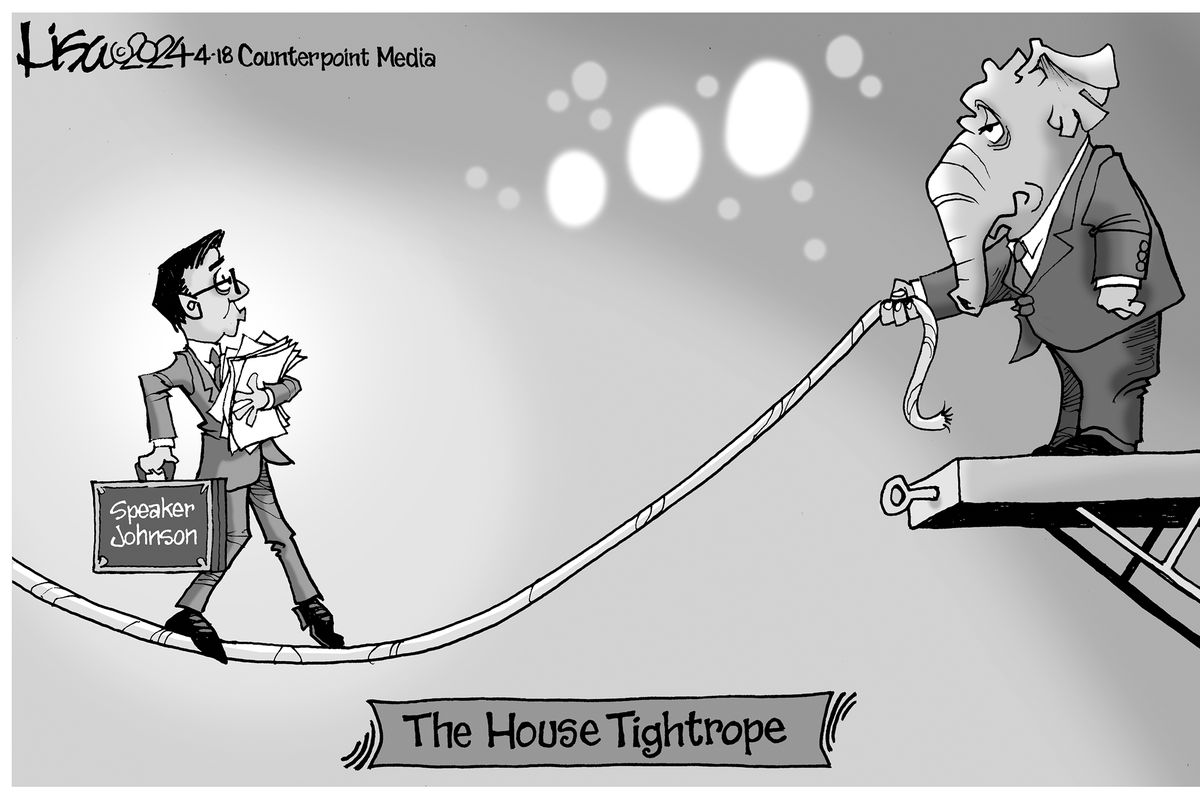 Lisa Benson cartoon  (Lisa Benson)